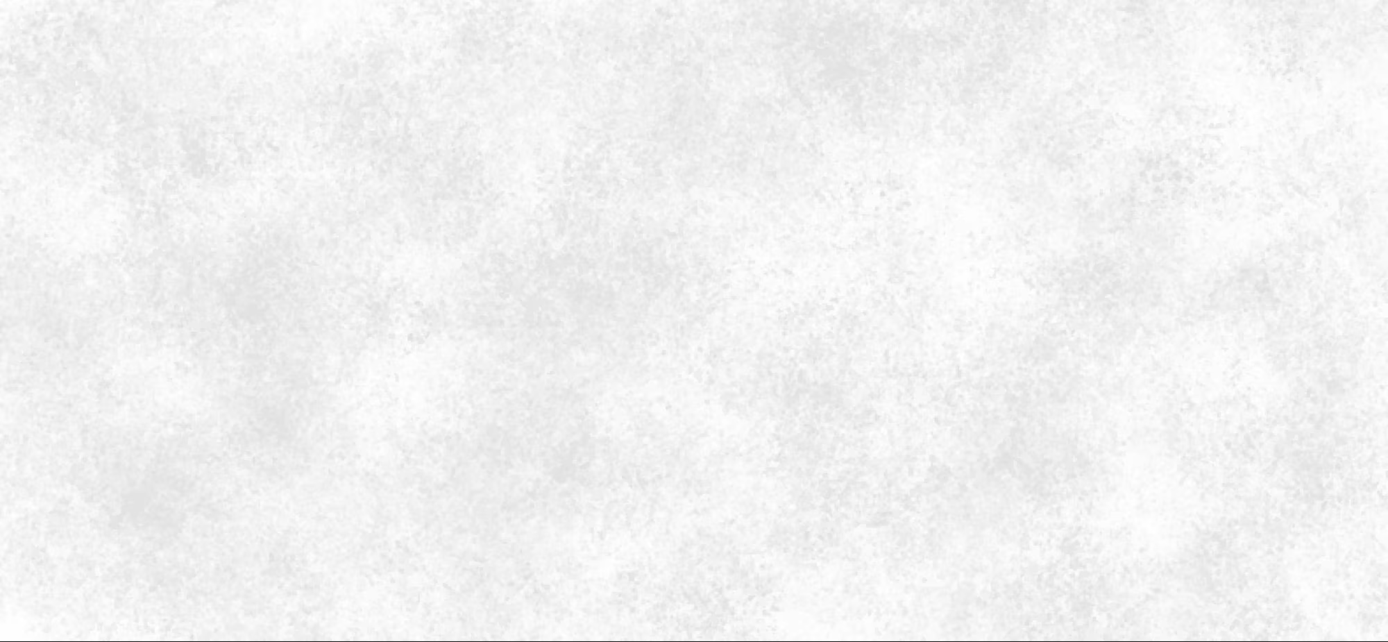 Sreenandini Kraft Boards manufacturing background